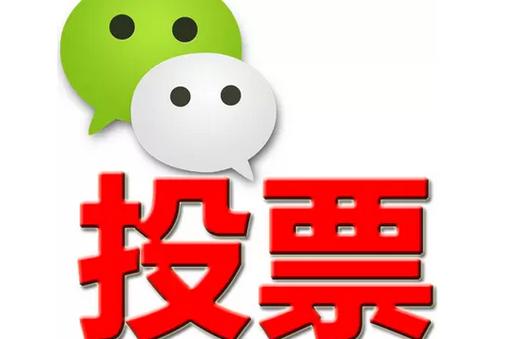 河池市微信投票功能开发 上传图片投票